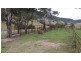 Part Glen Oak Bowmans Creek Road, Singleton NSW 2330