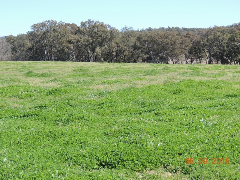 Lot 25 Timor Rd, Coonabarabran NSW 2357