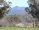 Lot 25 Timor Rd, Coonabarabran NSW 2357