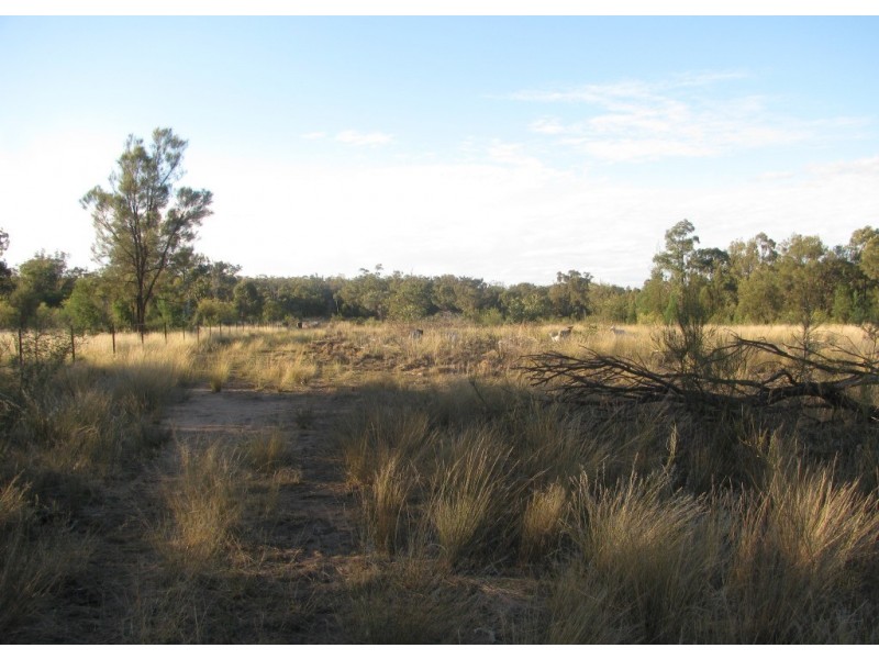 785 Killarney Gap Road, Narrabri NSW 2390