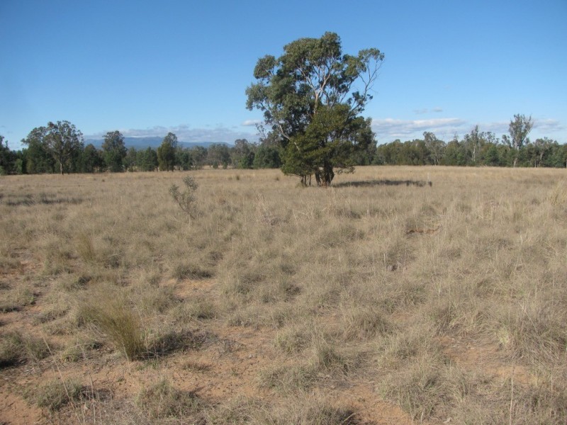 785 Killarney Gap Road, Narrabri NSW 2390