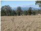 785 Killarney Gap Road, Narrabri NSW 2390