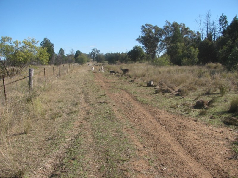 785 Killarney Gap Road, Narrabri NSW 2390