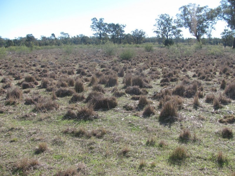 785 Killarney Gap Road, Narrabri NSW 2390