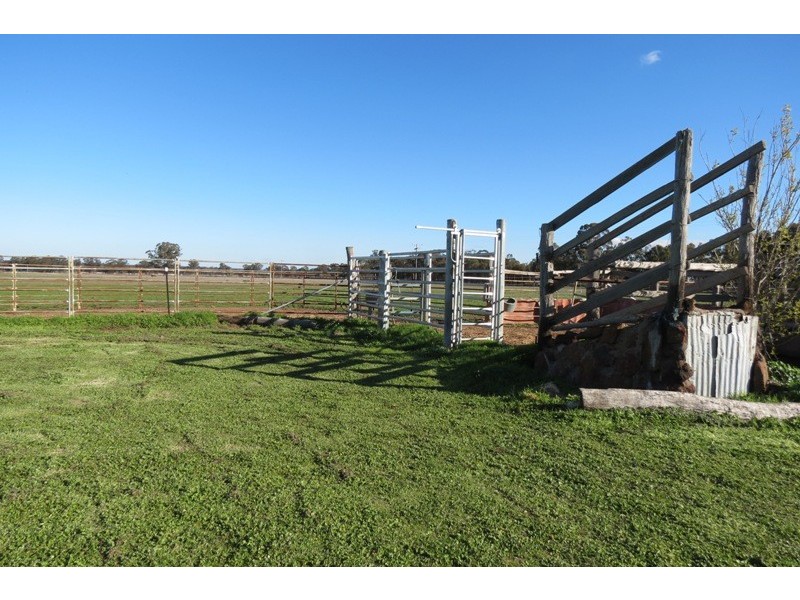 11R Maiala Road, Eumungerie NSW 2831