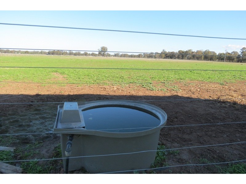 11R Maiala Road, Eumungerie NSW 2831