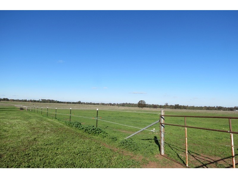 11R Maiala Road, Eumungerie NSW 2831