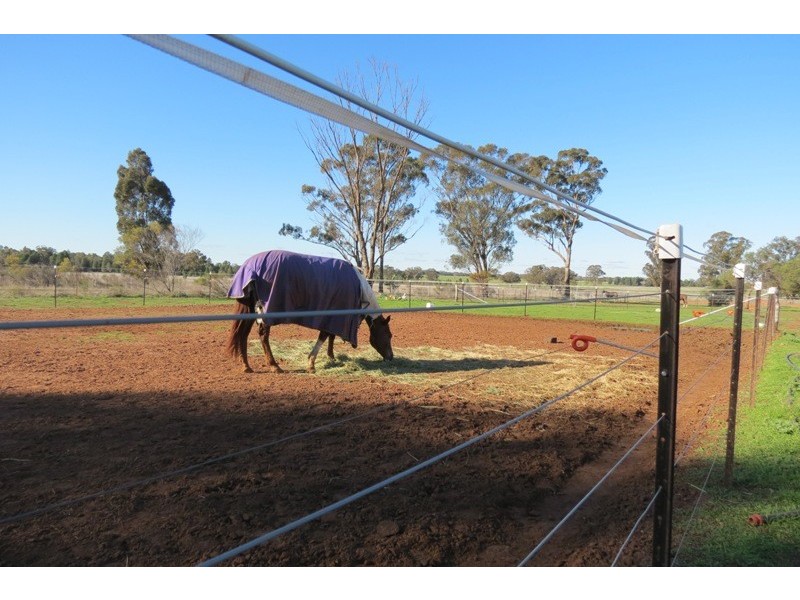 11R Maiala Road, Eumungerie NSW 2831