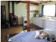 95 Dalgarno St, Coonabarabran NSW 2357