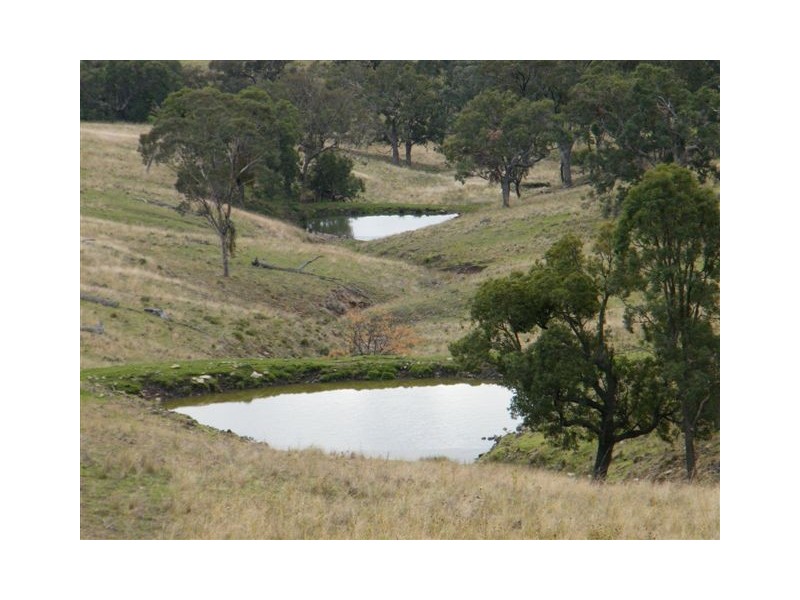 “Mt Boo” Big Jacks Creek Road, Willow Tree NSW 2339