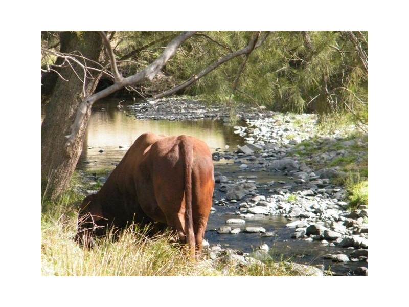 “Mt Boo” Big Jacks Creek Road, Willow Tree NSW 2339