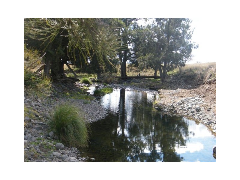 “Mt Boo” Big Jacks Creek Road, Willow Tree NSW 2339