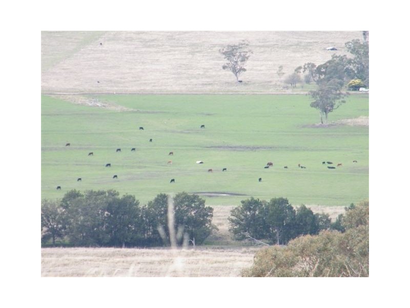 “Mt Boo” Big Jacks Creek Road, Willow Tree NSW 2339