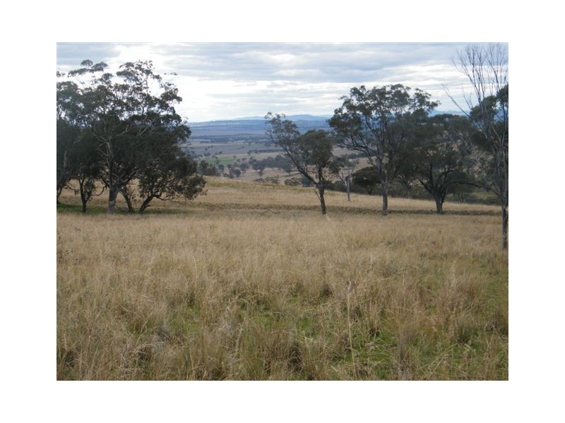 “Mt Boo” Big Jacks Creek Road, Willow Tree NSW 2339