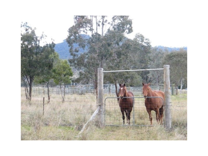 “Mt Boo” Big Jacks Creek Road, Willow Tree NSW 2339