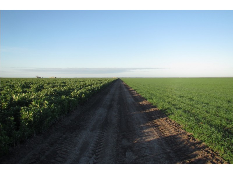 “Vieta” 123 Taringa Lane, Edgeroi NSW 2390