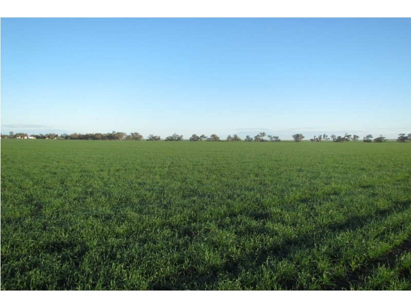 “Vieta” 123 Taringa Lane, Edgeroi NSW 2390