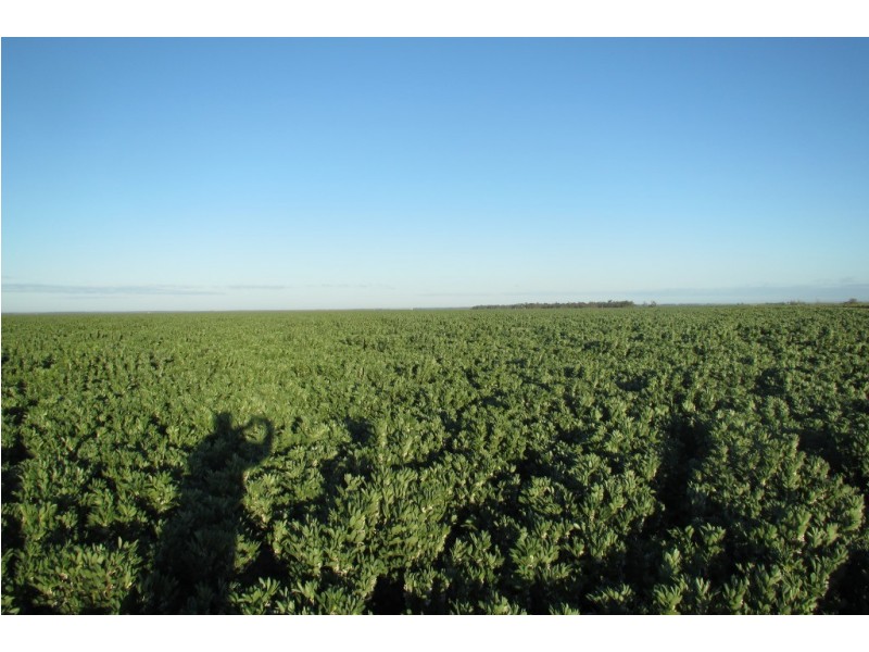 “Vieta” 123 Taringa Lane, Edgeroi NSW 2390