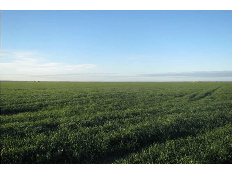 “Vieta” 123 Taringa Lane, Edgeroi NSW 2390