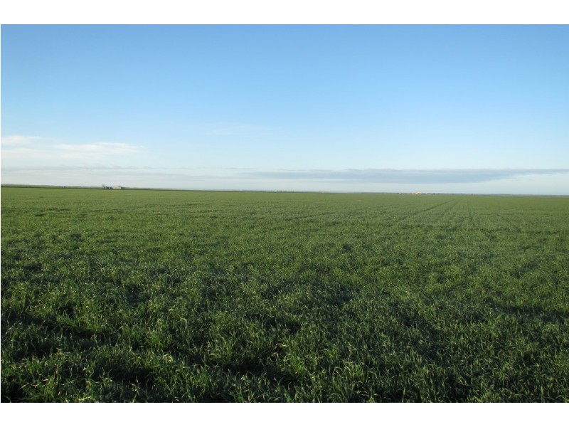 “Vieta” 123 Taringa Lane, Edgeroi NSW 2390