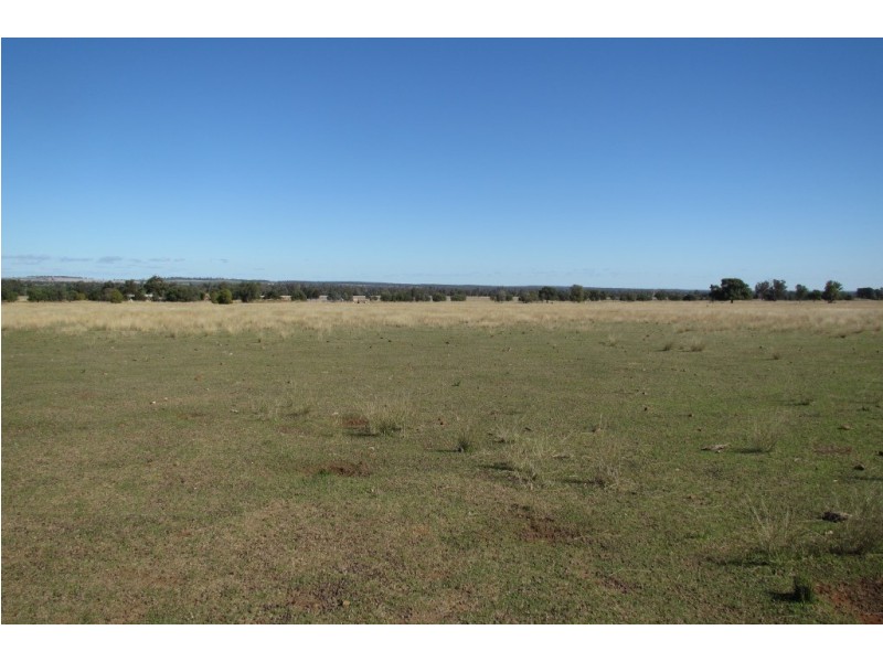 Dalman Downs Killarney Gap Road, Narrabri NSW 2390
