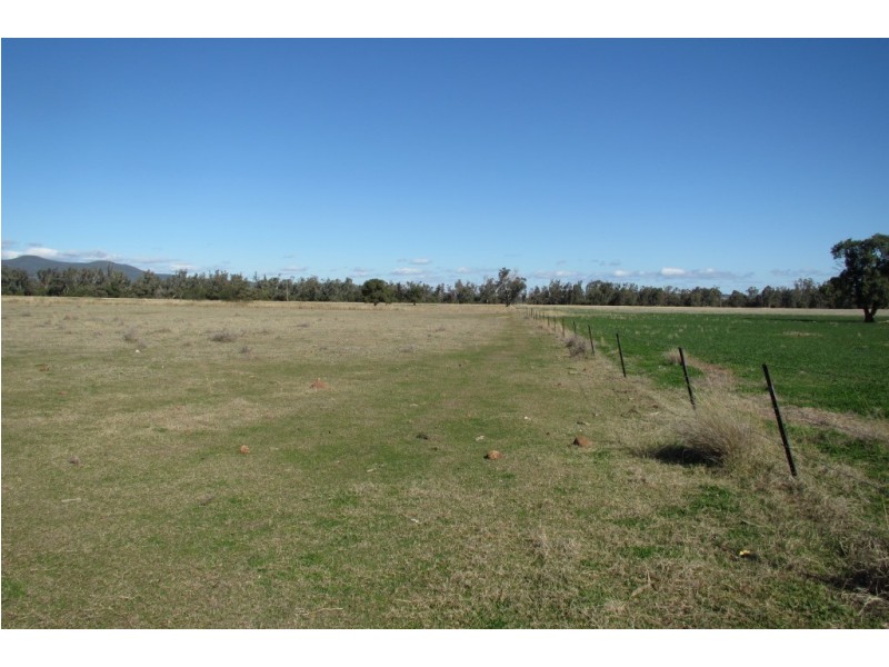 Dalman Downs Killarney Gap Road, Narrabri NSW 2390