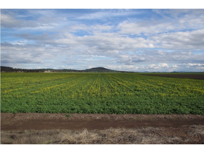 Glencoe Glencoe Road, Emerald Hill NSW 2380