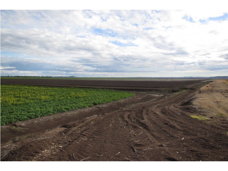 Glencoe Glencoe Road, Emerald Hill NSW 2380