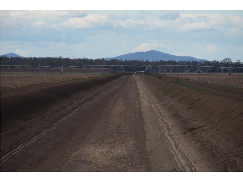 Glencoe Glencoe Road, Emerald Hill NSW 2380