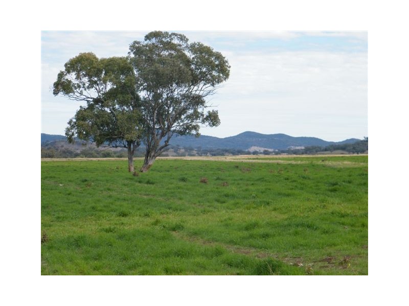 583 Glen Alpine Road, Werris Creek NSW 2341