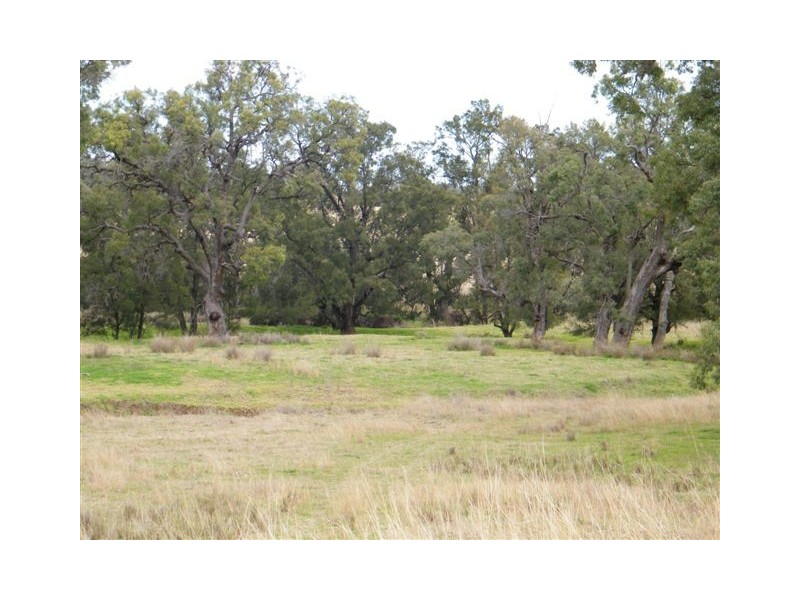 583 Glen Alpine Road, Werris Creek NSW 2341