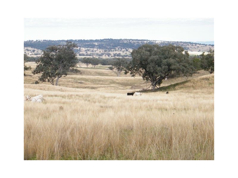 583 Glen Alpine Road, Werris Creek NSW 2341