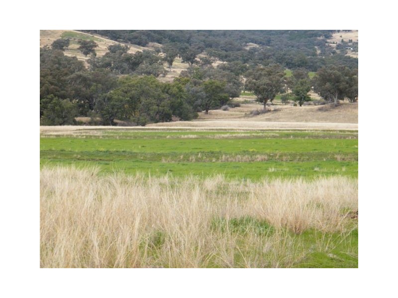 583 Glen Alpine Road, Werris Creek NSW 2341