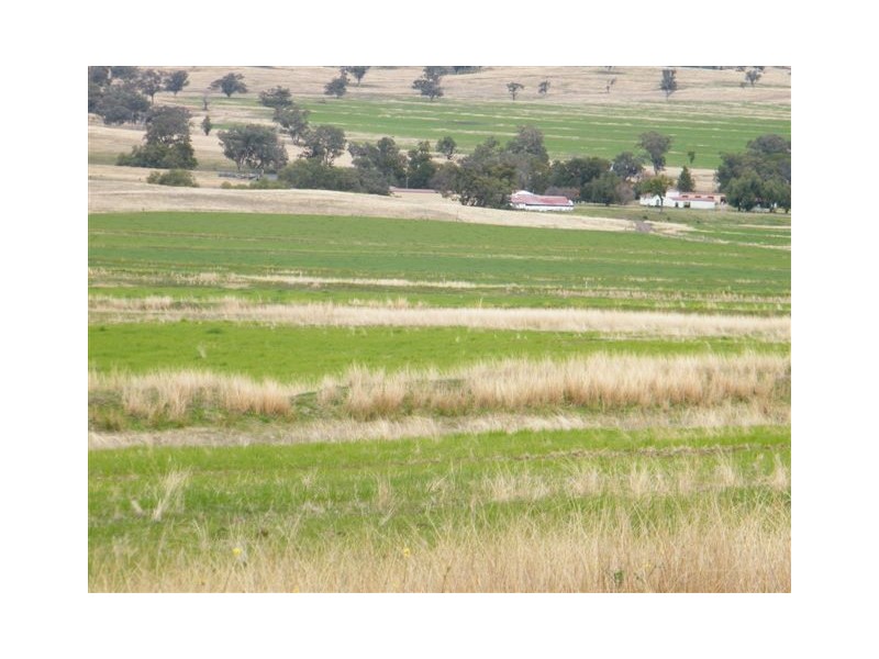 583 Glen Alpine Road, Werris Creek NSW 2341