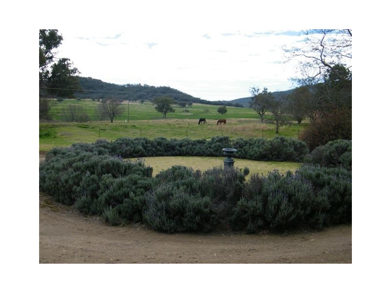 583 Glen Alpine Road, Werris Creek NSW 2341