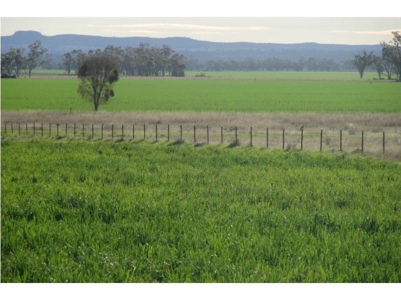 “Glen Alvion” Glencoe Road, Emerald Hill NSW 2380