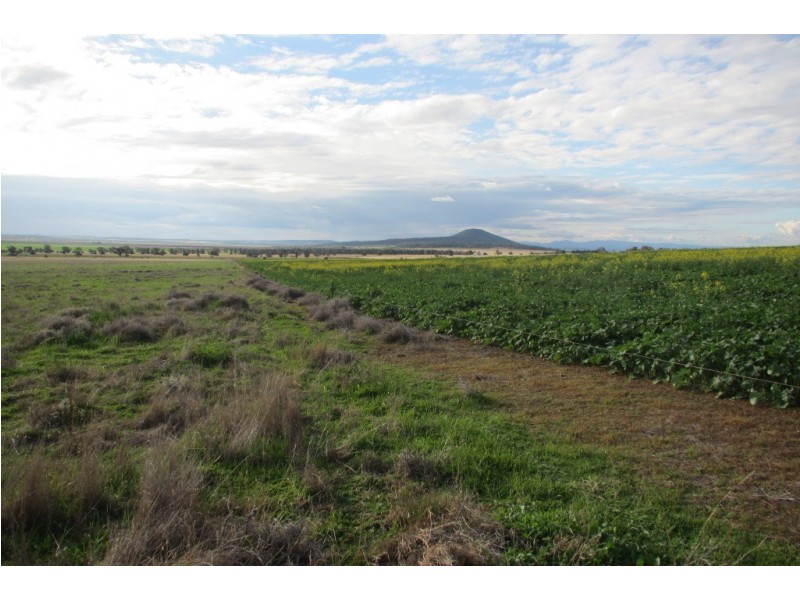 “Glen Alvion” Glencoe Road, Emerald Hill NSW 2380