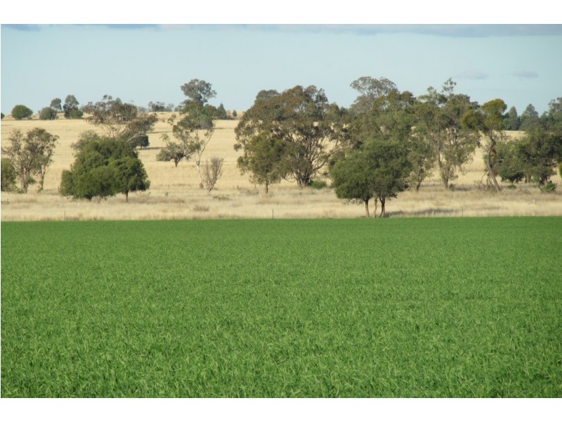 “Glen Alvion” Glencoe Road, Emerald Hill NSW 2380