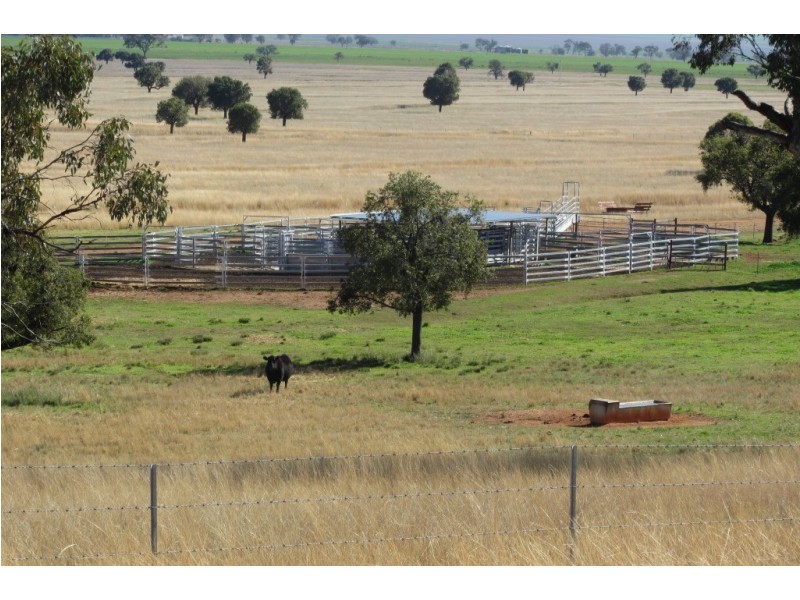 Kurrajong Park Spring Ridge, Gunnedah NSW 2380