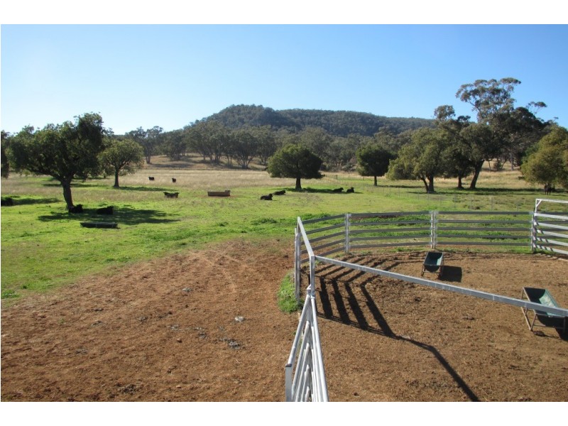 Kurrajong Park Spring Ridge, Gunnedah NSW 2380