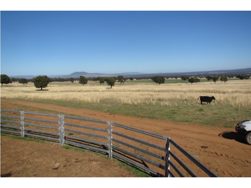 Kurrajong Park Spring Ridge, Gunnedah NSW 2380