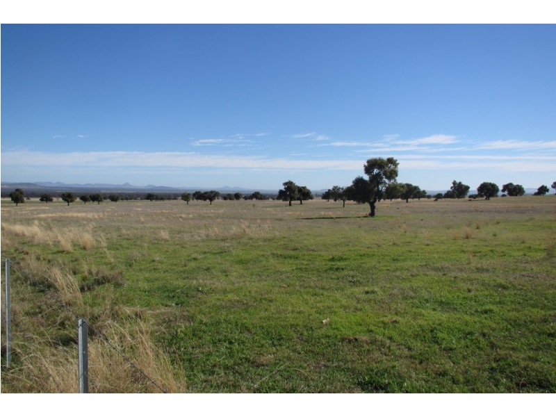 Kurrajong Park Spring Ridge, Gunnedah NSW 2380