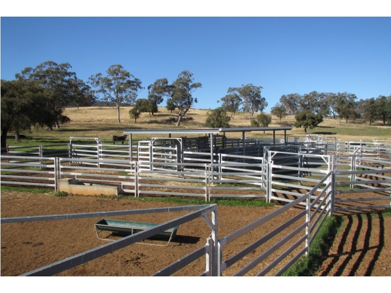 Kurrajong Park Spring Ridge, Gunnedah NSW 2380