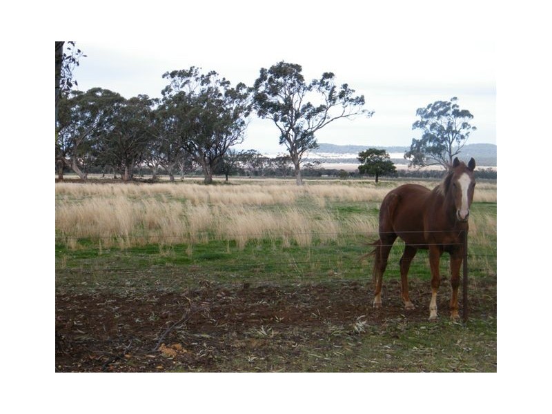 102 Darbys Road, Spring Ridge NSW 2343