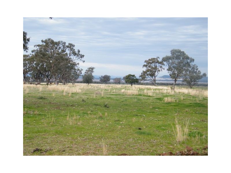 102 Darbys Road, Spring Ridge NSW 2343