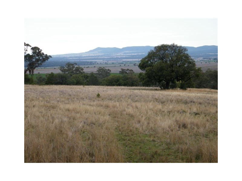 Spring Ridge NSW 2343