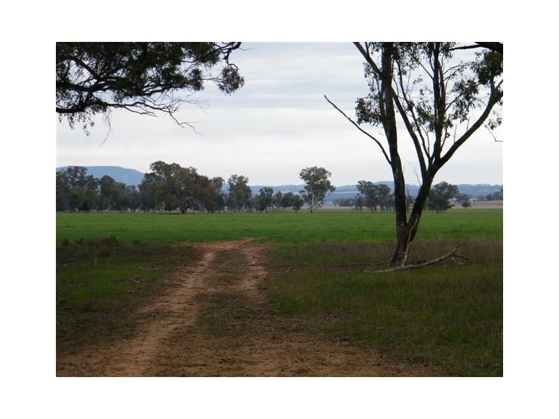 Spring Ridge NSW 2343