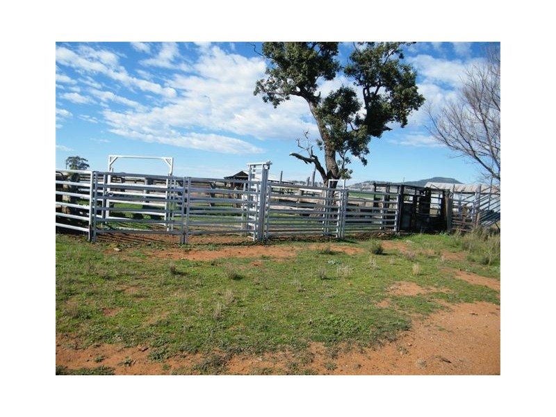 Spring Ridge NSW 2343