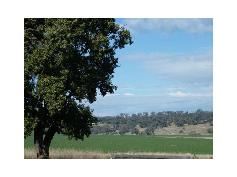 Spring Ridge NSW 2343