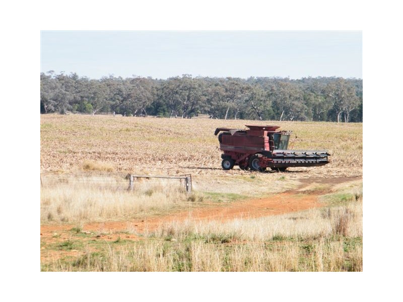 Spring Ridge NSW 2343